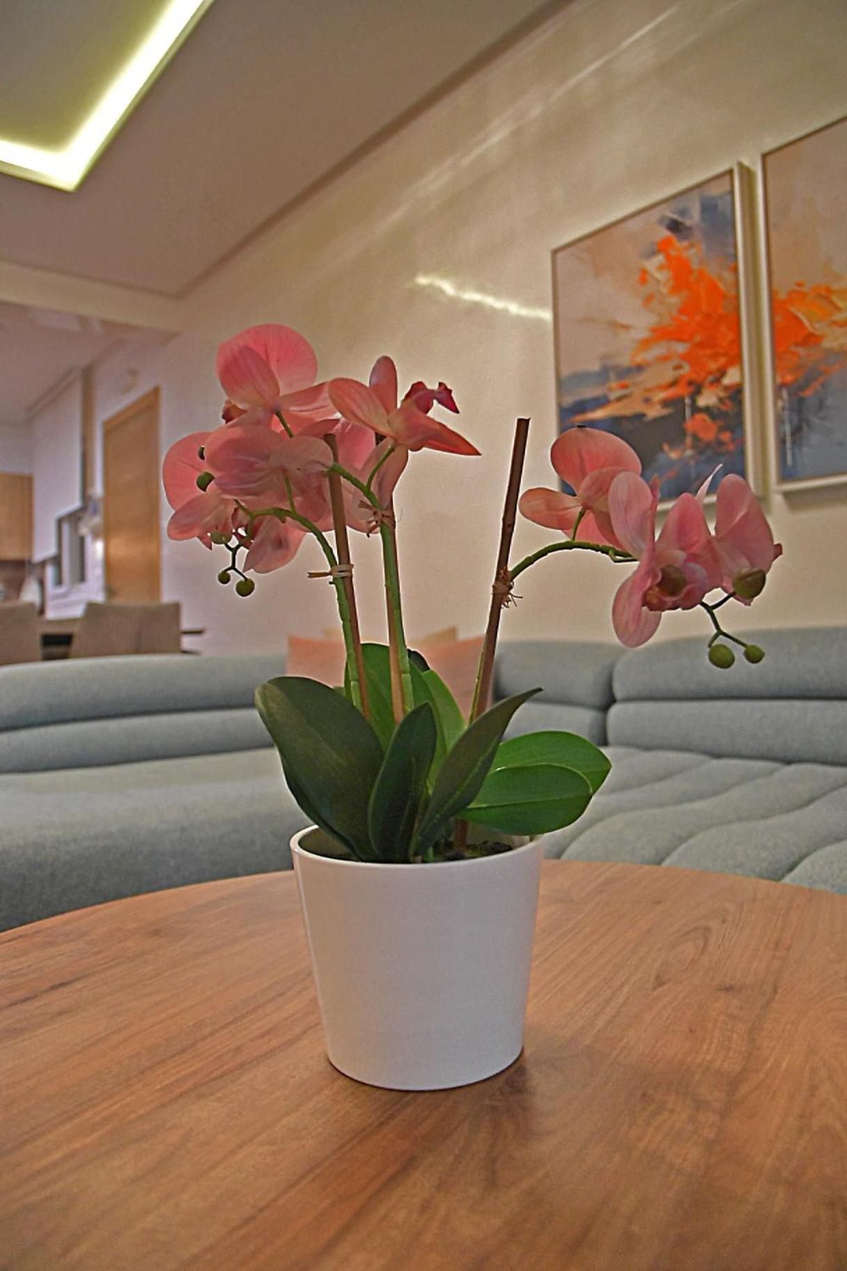 Inhome Apartment Кабо-Негро Екстер'єр фото